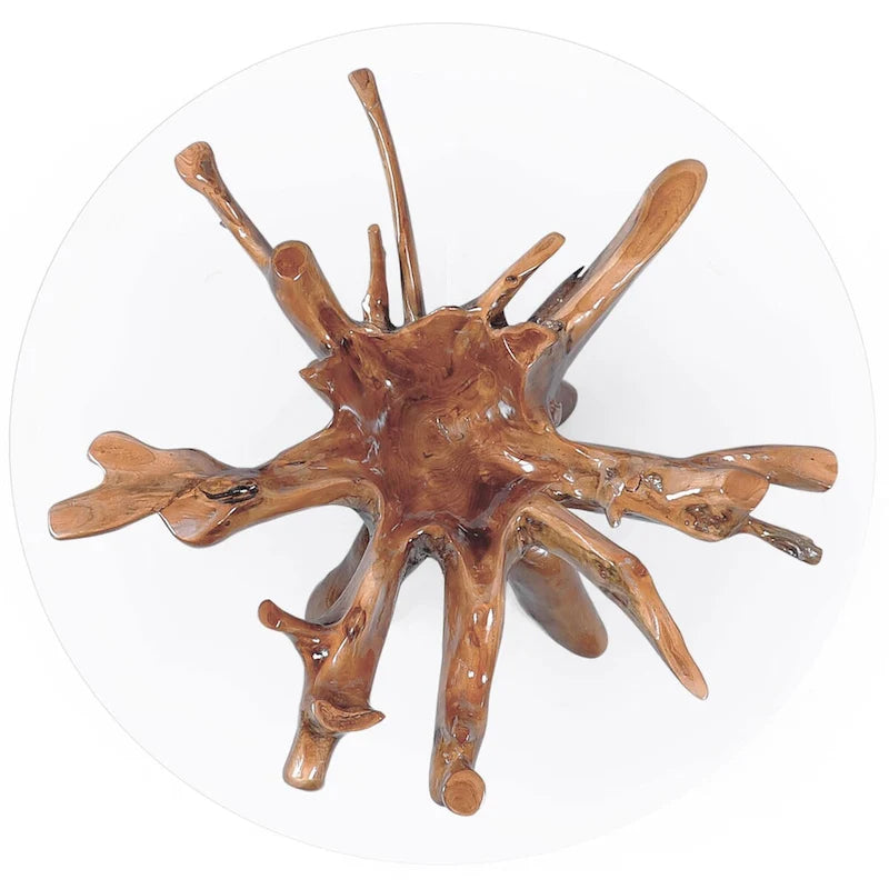 Round Teak Wood Root Pedestal Dining Table Natural Brown Lacquer Finish